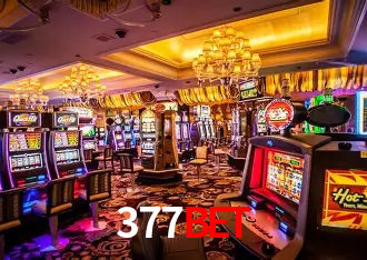 377Bet São Paulo - Live Tables