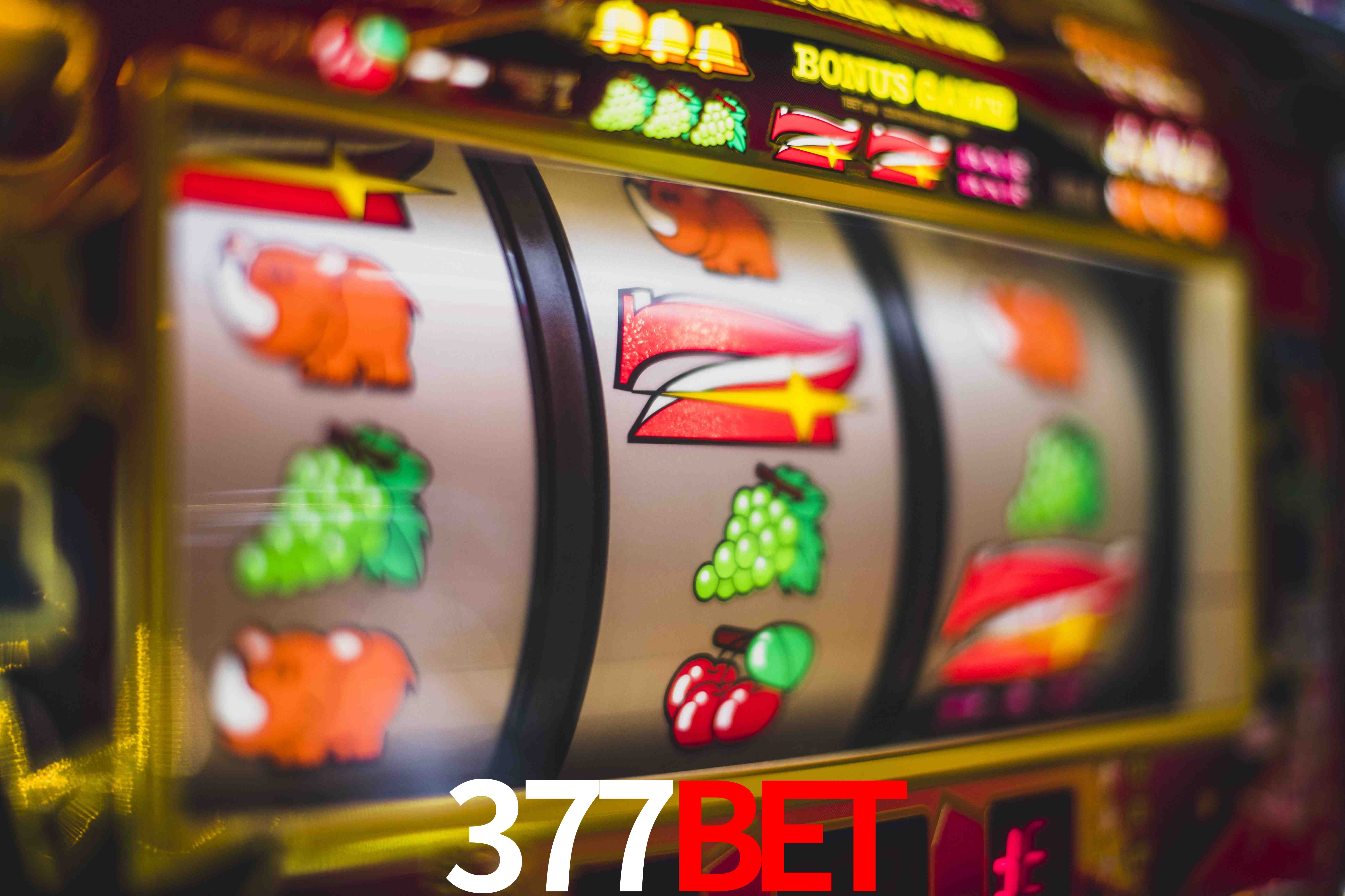 Welcome Bonus 377Bet