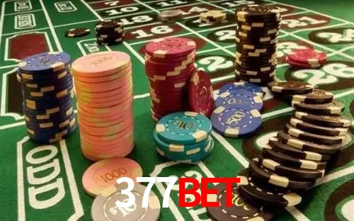 377Bet App