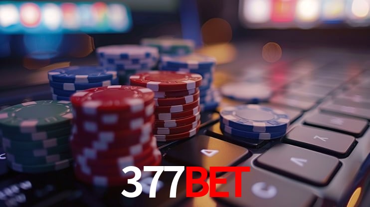 377Bet - Winners Celebration